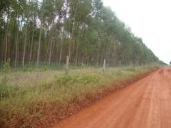 #42 - Fazenda para Venda em Fortaleza - CE